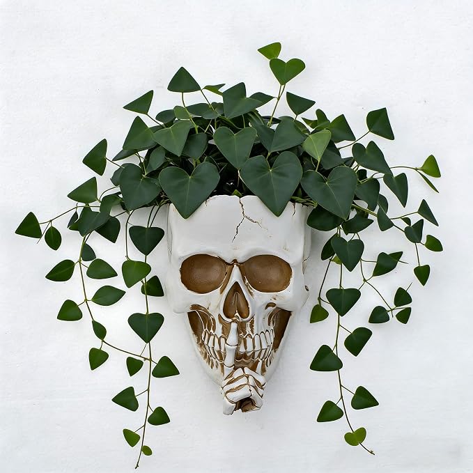 Skull Planter Gothic Wall Decor, Unique Wall Planter Pot for Indoor Outdoor Plants, Day of The Dead Decor,Skull Vase with Drainage Hole, Spooky Skeleton Decorations for Home, Halloween(White)