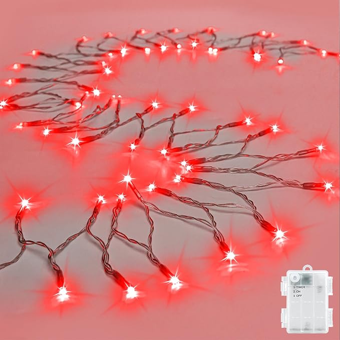 cshare String Lights Outdoor Waterproof 9.8ft 30 LED, Red Fairy Lights Battery Operated with Timer Clear Wire for Indoor & Outdoor Christmas Vanlentines Decorations Garland Party Garden - skull lamp