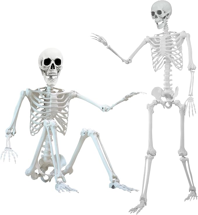 5.4 ft Halloween Skeleton Poseable Skeleton Life Size Skeleton Full Body Plastic Human Bones Standing Human Skeleton with Posable Joints for Halloween Decoration（1PCS - skeleton