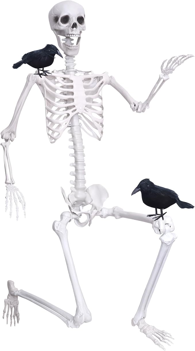 Wocst 6Ft Life Size Skeleton Posable Skeleton with Movable Joints Halloween Full Body Plastic Human Bones with 2PCS Black Crows for Halloween Indoor Outdoor Decor - skeleton