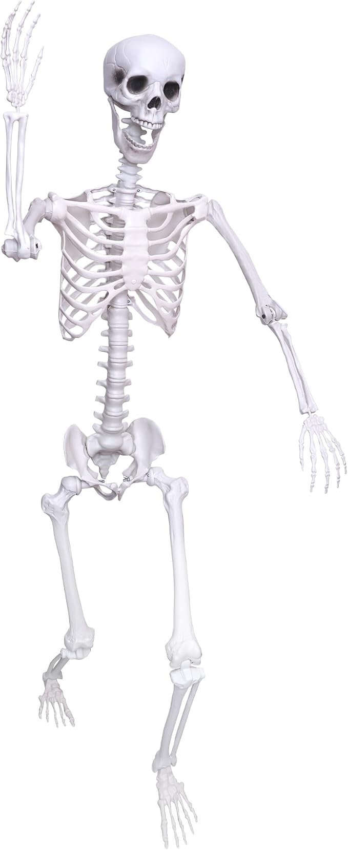 5.9Ft Halloween Skeleton Posable Skeleton Life Size Skeleton Plastic Full Body Human Skeleton for Halloween Decorations - skeleton