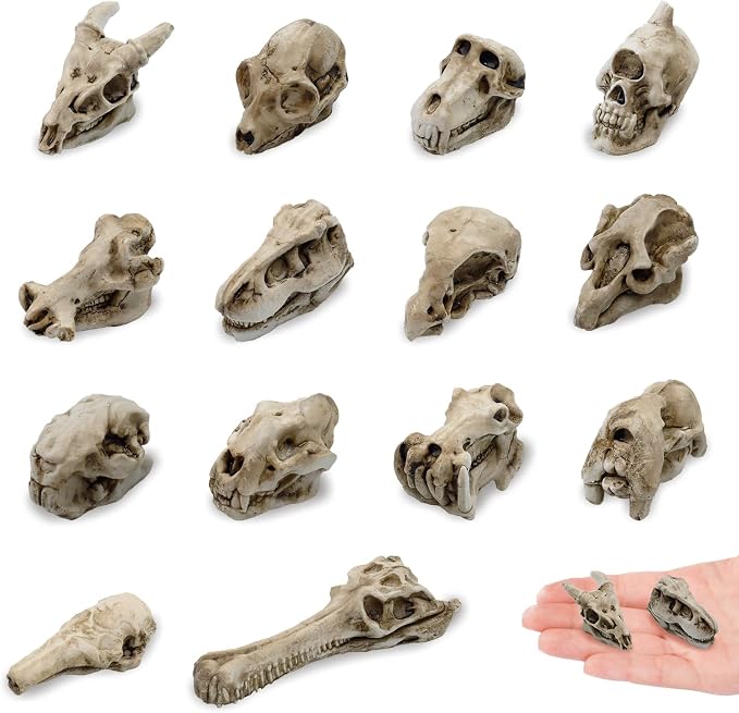 14 Pcs 1.5 Inch Mini Resin Animal Skull Heads Miniature Skull Figurines - skull figurine