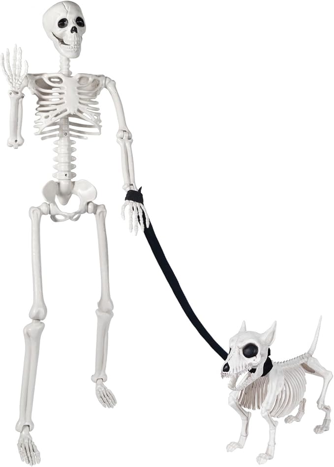 3 FT Human and Dog Skeleton Halloween Decor with Movable Joints - skeleton