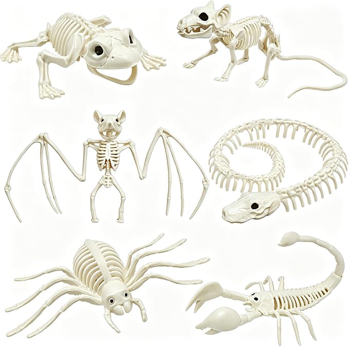 CAMIRUS 6Pack Animal Halloween Skeletons, Realistic Animal Skeleton - skeleton