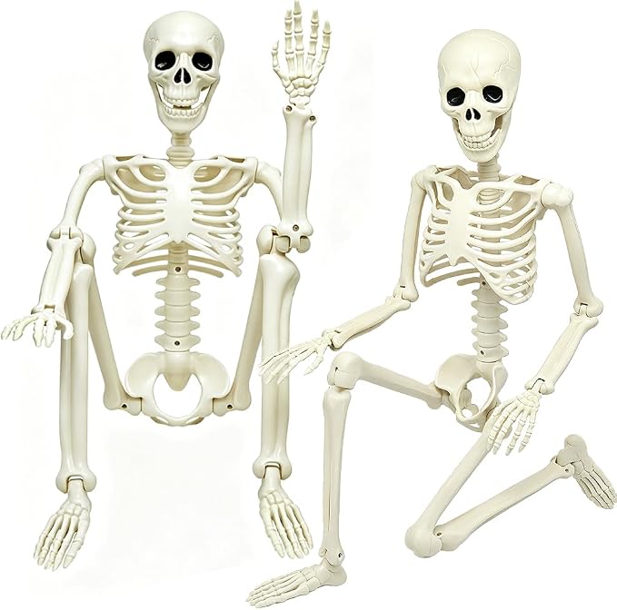 2 Pack 3ft Posable Plastic Halloween Skeleton-36" Skeleton Halloween Decor - skeleton