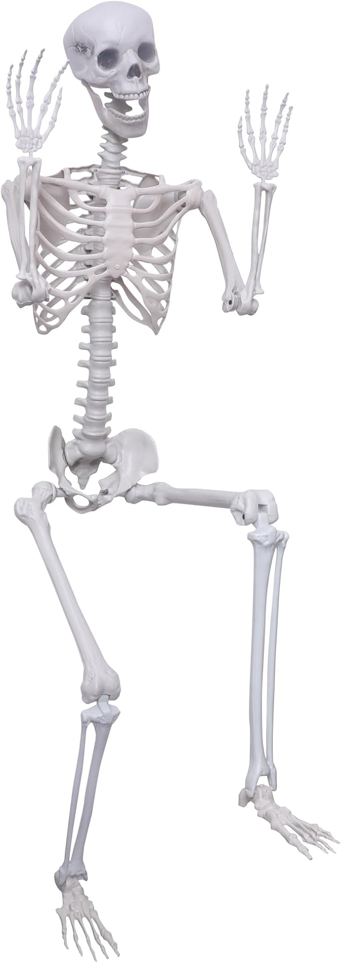 5.9Ft Halloween Life Size Skeleton Posable Skeleton Full Body Plastic Human with Adjustable Joints for Outdoor Indoor Halloween Decoration - skeleton