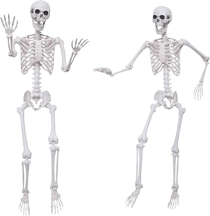 2Pack 5.4Ft Life Size Skeletons Posable Skeletons Full Size Plastic Human Skeleton with Movable Joint for Halloween Outdoor Indoor Decorations - skeleton