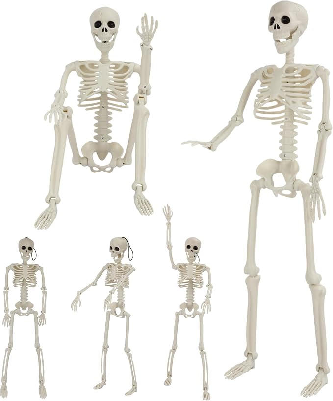 Halloween Skeleton Decorations, 2 Pack 36" Life Size Skeleton with 3 Pack 16" Mini Skeleton, Full Body Posable Joints Skeletons for Halloween Outdoor Indoor Decor, Garden Graveyard Haunted Houses - skeleton