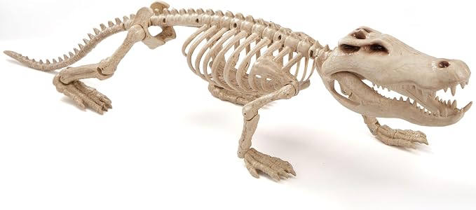 JOYIN 28″ Skeleton Crocodiles Halloween Decorations with Posable Joints, Plastic Skeleton for Halloween Party Outdoor Indoor Decor, Spooky Animal Courtyard Yard Patio Lawn Garden Props Decor(1PCS)