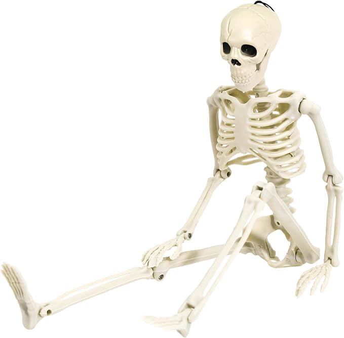 36" Skeleton Halloween Decoration, 3FT Full Body Posable Skeleton Realistic Human Bones with Posable Joints for Halloween Pose Prop Decor Yard Lawn Garden Patio Outdoor Haunted House Decorations - skeleton
