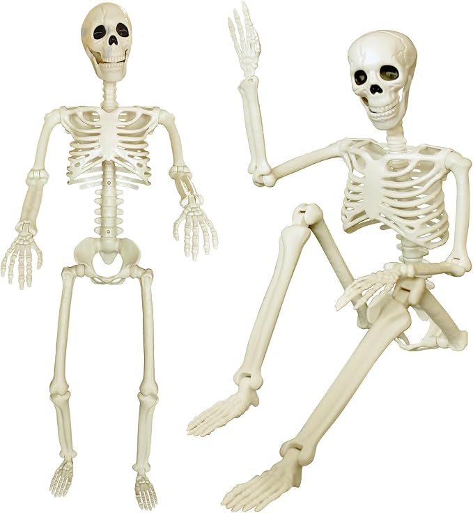 2 Pack 36" Posable Skeleton Halloween Decorations, 3FT Full Body Halloween Skeleton with Movable Joints for Halloween Party Decor, Haunted House Props Indoor Outdoor Decor - skeleton