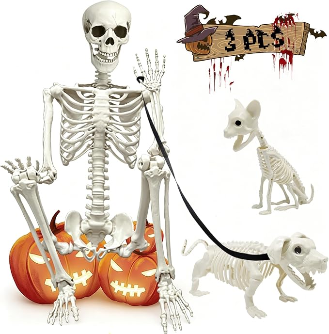 5.4Ft Posable Halloween Skeleton with Dog Cat Skeleton for Halloween Decor - skeleton