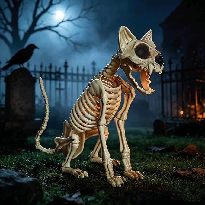 Skeleton Dog Halloween,Realistic Skull Posable Skeleton Animals,Spooky Haunted House Decoration Halloween Decorations Outdoor and Indoor (CAT) - skeleton