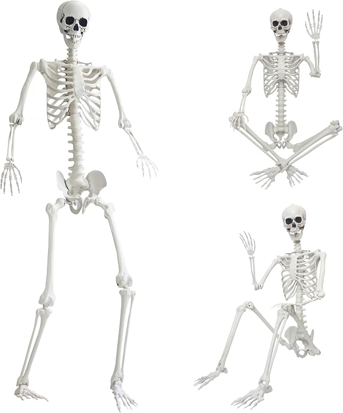 7.9ft/240cm Giant Skeleton Halloween Skeleton Life Size Skeleton Posable Skeleton Full Body Realistic Bones with Movable Joints for Halloween Outdoor Indoor Decorations - skeleton
