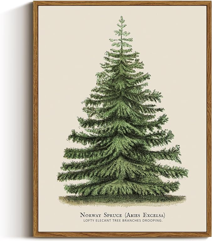 VIYYIEA Framed Canvas Wall Art, Vintage Christmas Decor, Living Room Botanical Fir Pine Tree Winter Decor for Bedroom Bathroom, Xmas Holiday Decorations Gifts, 12x16 Inch - skull wall art