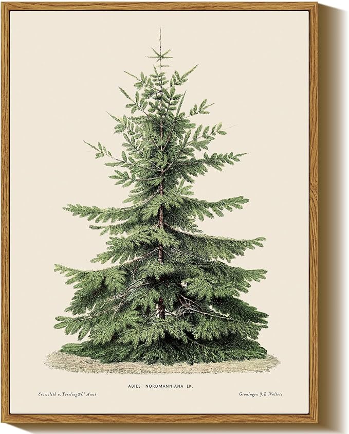 InSimSea Framed Wall Art, Vintage Christmas Pine Tree Winter Decor, 12x16In - skull wall art