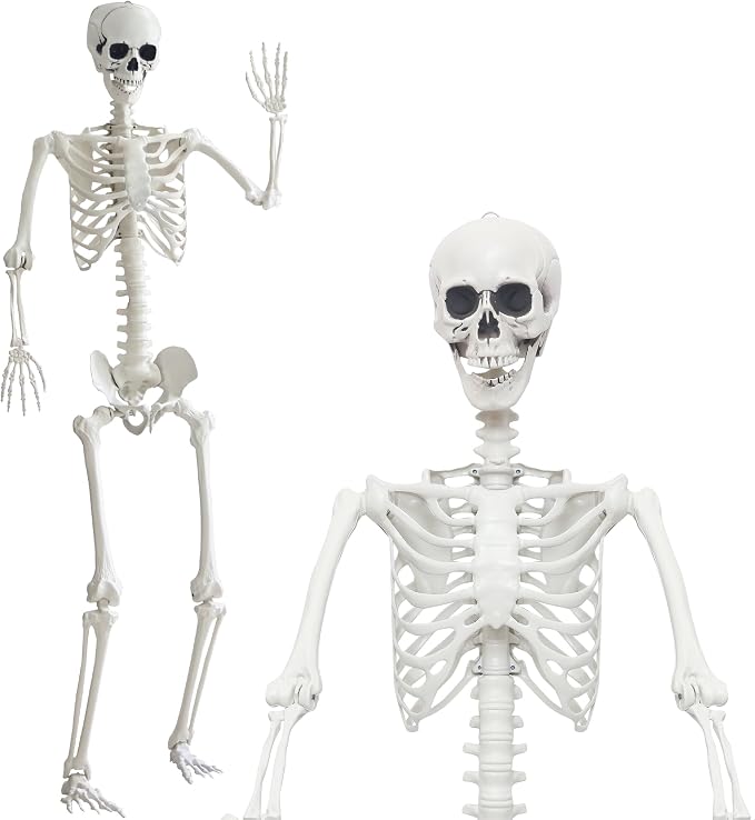 7.9Ft/240cm Halloween Giant Skeleton Life Size Skeleton Full Body Plastic Human Skeleton with Adjustable Joints for Halloween Outdoor Indoor Decoration - skeleton