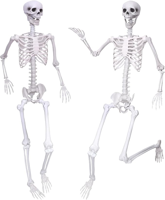 2PCS Skeletons Halloween Decorations,5.9Ft Life Size Skeletons with Movable Joints,Full Body Plastic Human Adult Skeletons for Halloween Indoor Outdoor Haunted House Decor - skeleton