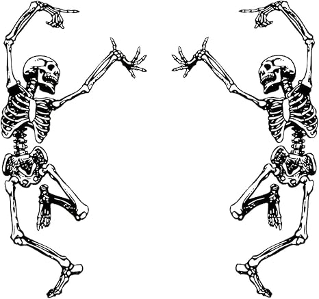 BDZMC Skeleton Bumper Sticker Decal, 6.0" Trippy Grateful Steal Your Face Rock Band Dancing Halloween Skull Car Decal for Car, Window, Refrigerator, Mirror, Laptop, Truck (1PCS) - skull sticker