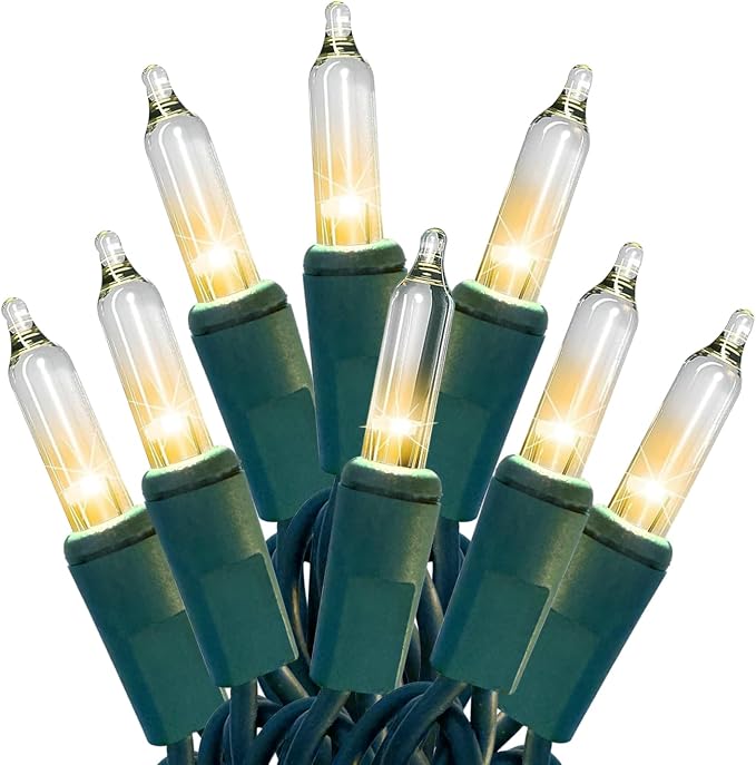 HISHINY Christmas Lights 100 Count Clear Christmas Tree Lights String with Green Wire for Outdoor Indoor Christmas Decorations Wedding Decorations Valentines Day Decor,UL Certified (21feet) - string light