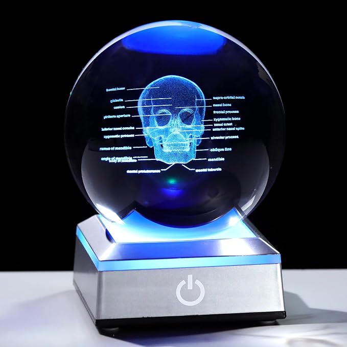 3D Human Skull Crystal Ball Etched Anatomical Skull Model, with Light Base