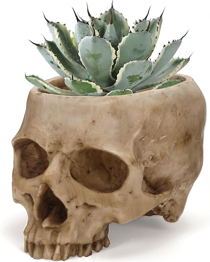 Skull Planter Pot for Plants - Realistic Human Skull Head Flower Pot, Halloween/Gothic Décor, Resin Planter for Succulents, Bonsai, Cactus, Home Bar, Desk, Spooky Gift Idea(Beige) - skull candle