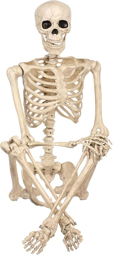 Seasons 5 FT Pose-N-Stay Life Size Skeleton Halloween Decoration - skeleton