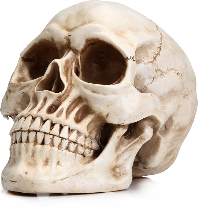 READAEER Halloween Skull Head, Life Size Resin Skull, Large Size Adult Skull Head Model for Home Decoration, Halloween Skull Statue, Human Skull Head Model (White) - skull helmet