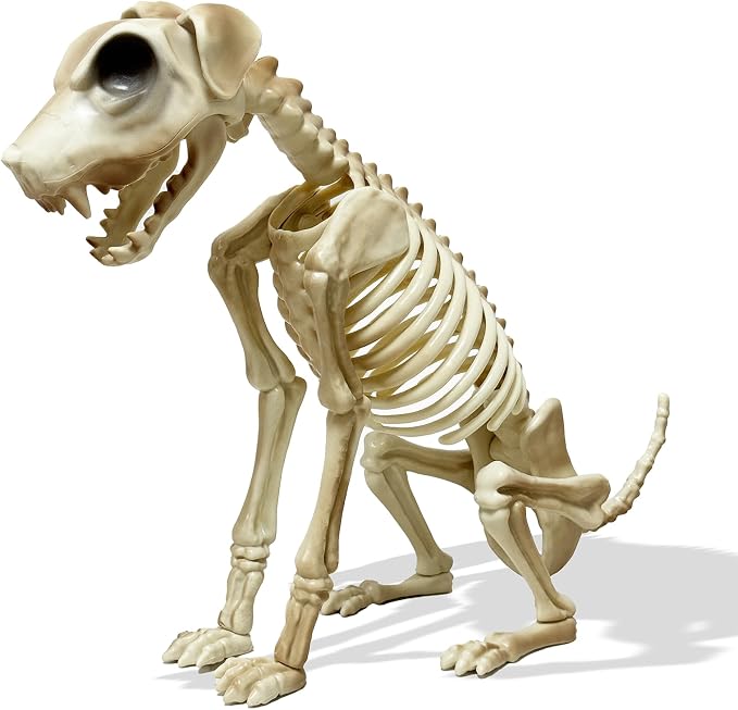 Skeleton Dog Halloween, 15.5” Skeleton Animals Crazy Bones for Indoor and Outdoor,Spooky Haunted House Decoration Holiday Party Decoration - skeleton