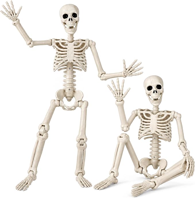 2 Pack 36" Halloween Skeleton, 3 ft Human Skeleton Full Body Posable Joints Plastic Skeleton for Halloween Decoration, Yard Patio Lawn Garden Skeleton Spooky Party Decoration Indoor Outdoor - skeleton