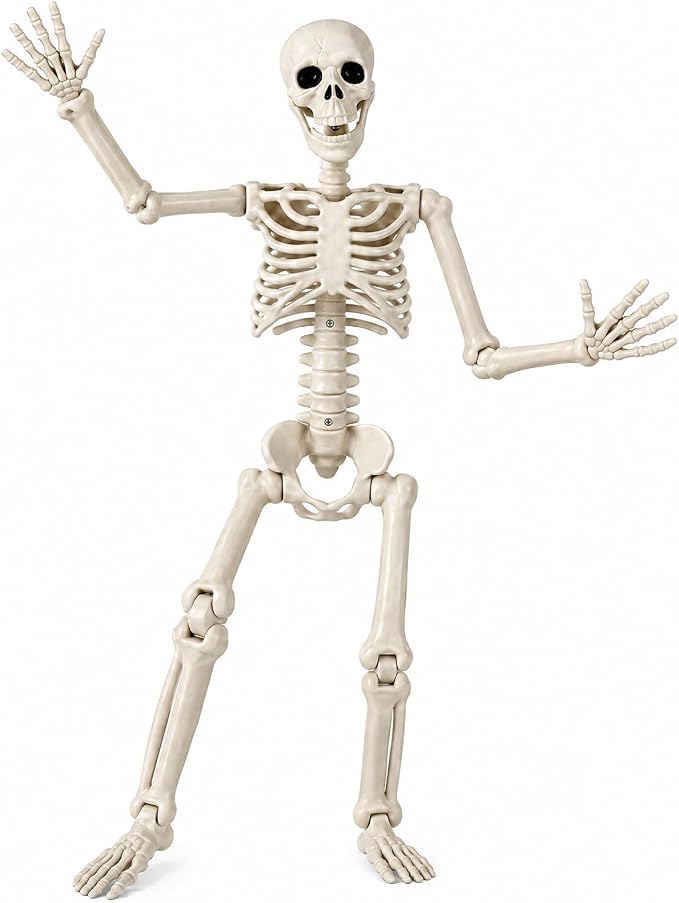Toolterritary 36″ Halloween Skeleton, 3 ft Human Skeleton Full Body Posable Joints Plastic Skeleton for Halloween Decoration, Yard Patio Lawn Garden Skeleton Spooky Party Decoration Indoor Outdoor