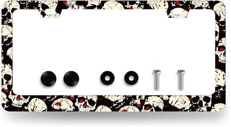Stainless Steel Gothic Skull Skeleton License Plate Frame 12.2 x 6.2 Inch - skull plate