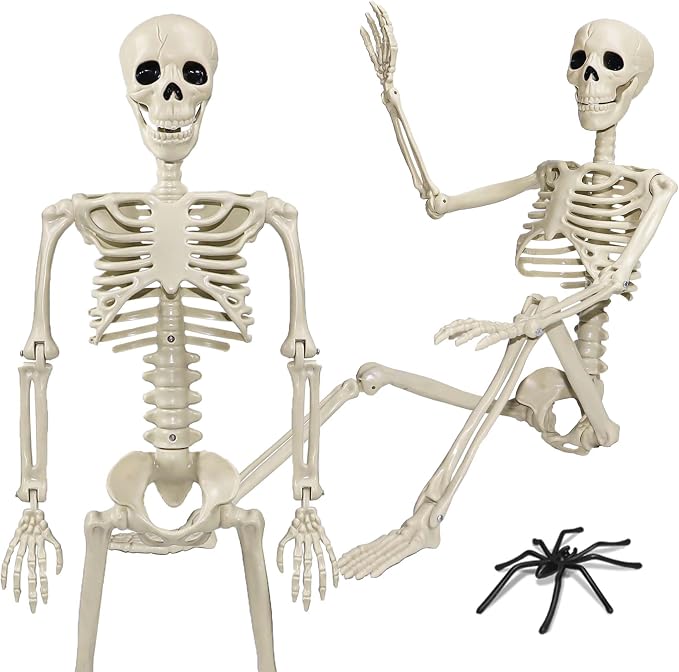 36" Skeleton Halloween Decorations, 3ft Life Size Human Skeleton with Full Body Movable Posable Joints Skeleton, Halloween Skeletons with 20 Spiders for Yard Haunted House Props Indoor Outdoor Decor - skeleton