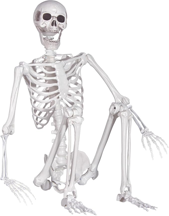 Halloween Skeleton, Realistic Life Size Skeleton with Movable Joints for Halloween Party Haunted House Indoor Outdoor Decoration (5.4ft-1P) - skeleton