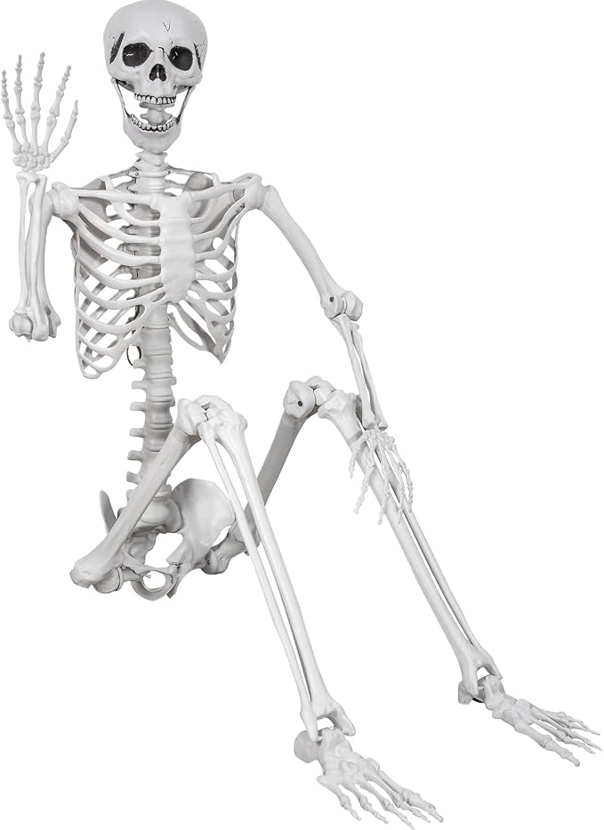 5.9ft Halloween Skeleton, Realistic Life Size Skeleton with Movable Joints for Halloween Party Haunted House Outdoor Decoration - skeleton