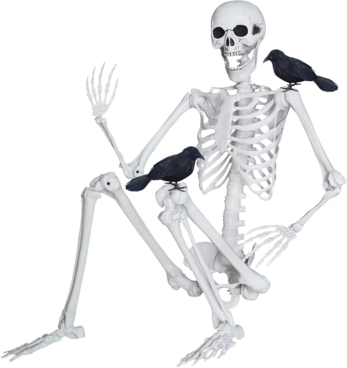 5.4ft/165cm Halloween Skeleton with Realistic Crows Full Body Plastic Human Bones with Movable Joints for Indoor Outdoor Halloween Decor - skeleton