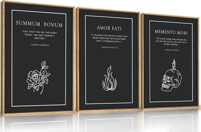 HLNIUC Halloween Canvas Wall Art Set of 3, Black Skeleton Meditations Home Decor, Amor Fati Memento Mori Stoic Art(16×24),Vintage Flower Fire Marcus Aurelius Painting for Living Room, Bedroom, Office