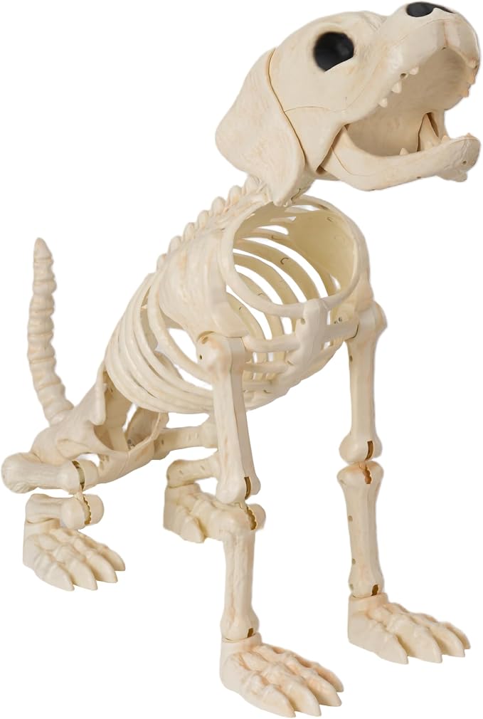 JOYIN Halloween Golden Retriever Skeleton 34” Animal Dog Plastic Skeleton with Movable Posable Joints for Haunted Houses Halloween Decorations, Graveyard Scenes, Outdoor Indoor Garden Party Decor - skeleton