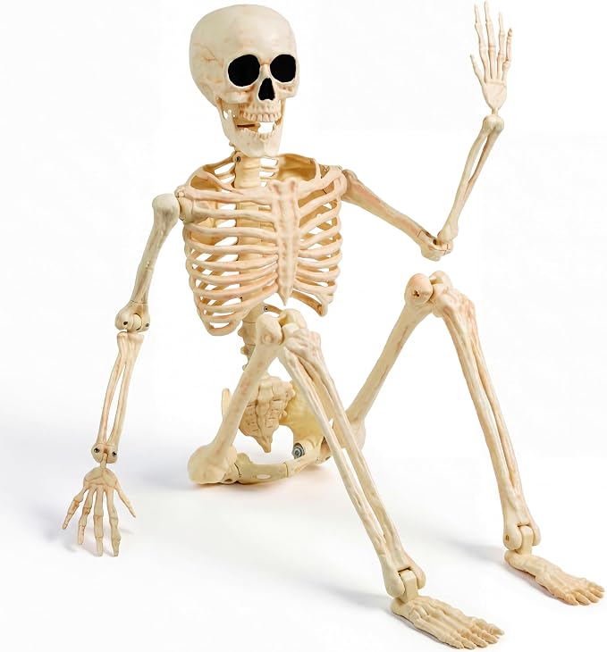 JOYIN 36" Halloween Skeleton Decor, 3FT Full Body Realistic Bones with Stayable Movable Joints, Posable Hanging Skeletons for Halloween Decoration, Yard, Graveyard, Haunted House, Spooky Scene Party - skeleton