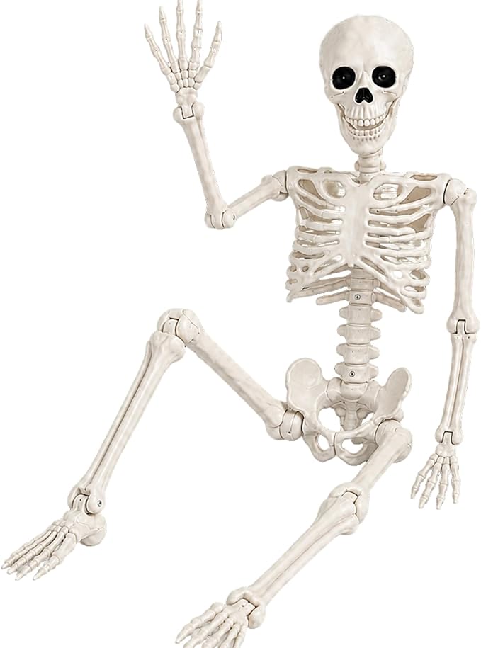 Abakuku 36″ Halloween Skeleton Decorations,Human Bones for Halloween Party with Movable Joints,for Haunted Houses, Front Lawn, Graveyard Props