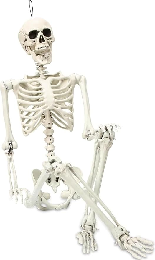 5.4 ft Posable Halloween Skeleton Decorations,Human Bones for Halloween Party with Movable Joints,for Haunted Houses, Front Lawn, Graveyard Props - skeleton