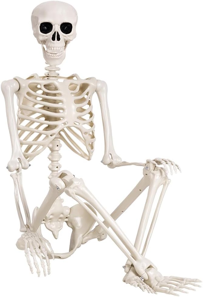 5.4 ft Halloween Skeleton - Life Size Human Skeleton with Full Body Posable Joints - Spooky Scary Plastic Skeleton for Outdoor Decoration, Halloween Party Decor, Haunted House Props - skeleton