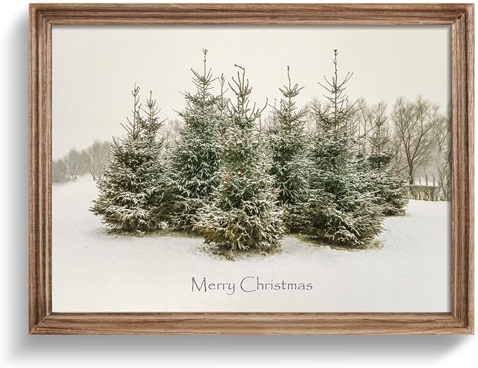 LITIVY Merry Christmas Decorations 12" x 16" Christmas Tree Framed Wall Art Indoor Vintage Rustic Unique Xmas Gifts For Table Wall Farmhouse Mantel Home Decor (Brown, 12x16 In) - skull wall art