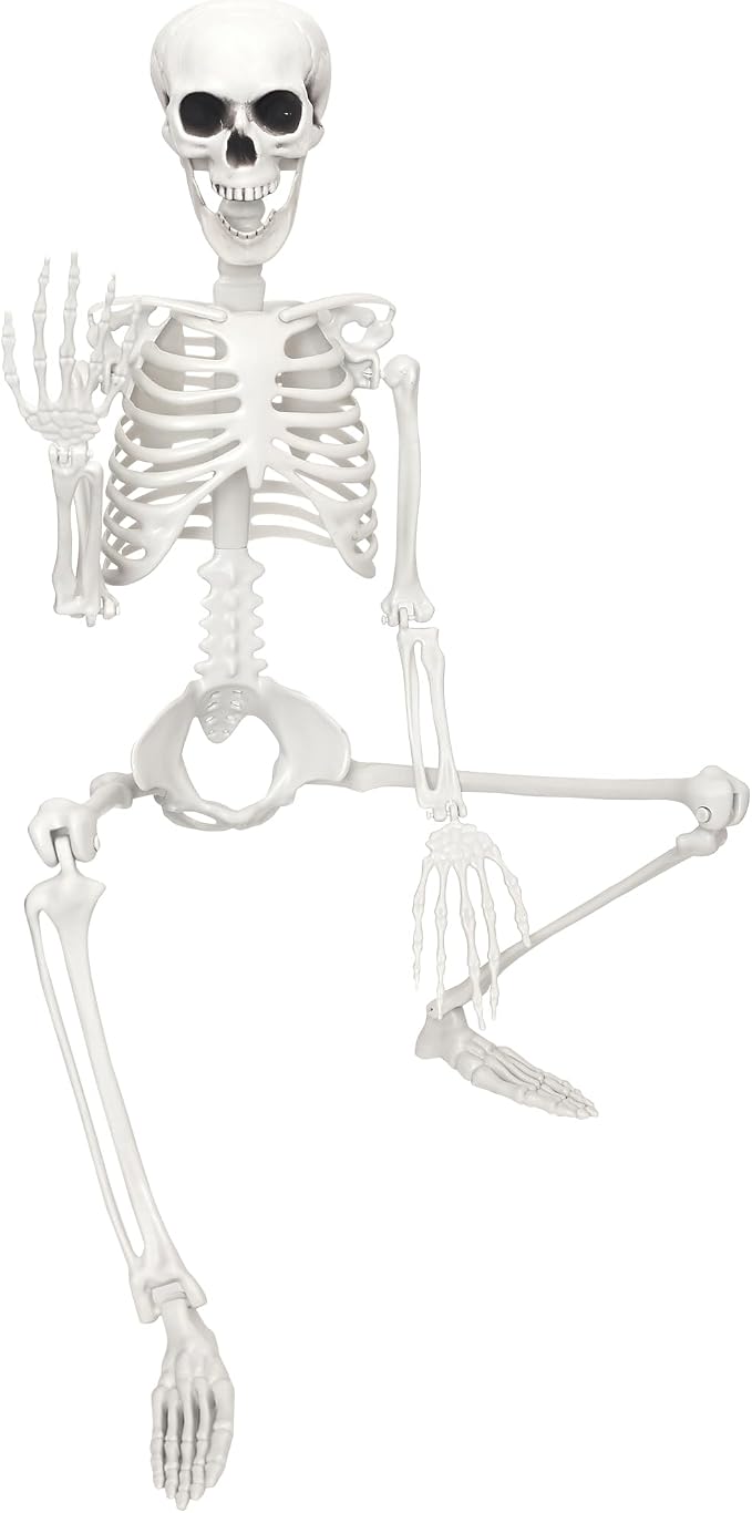 Skeleton Halloween Decor,3Ft Life Size Skeleton Full Body Plastic Human Bones for Halloween Decoration - skeleton