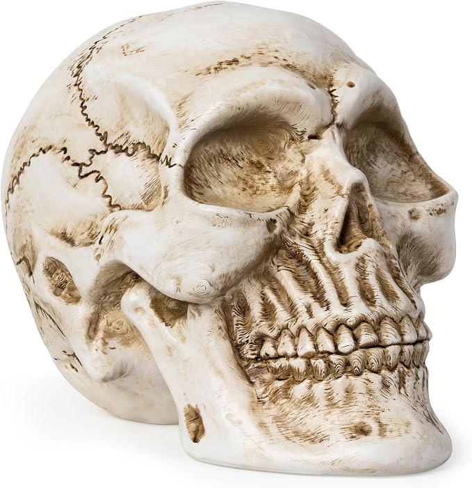 Resin Skull Statue, Human Head Model for Home Decoration, Halloween Statue, Skull Model for Bookshelf Desktop Home Decor (White) - skull figurine