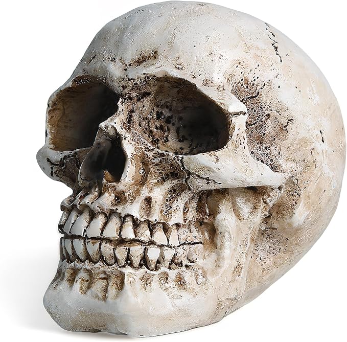 Skull Decor, Resin Realistic Skeleton Head Statue for Halloween, Fake Human Bone Skull Model for Halloween Decoration, Home, Party, Table, Bookshelf - skull figurine