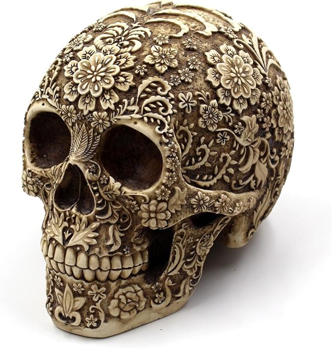 Life Size Plastic Skull – Skeleton Head Prop for Halloween Haunted House