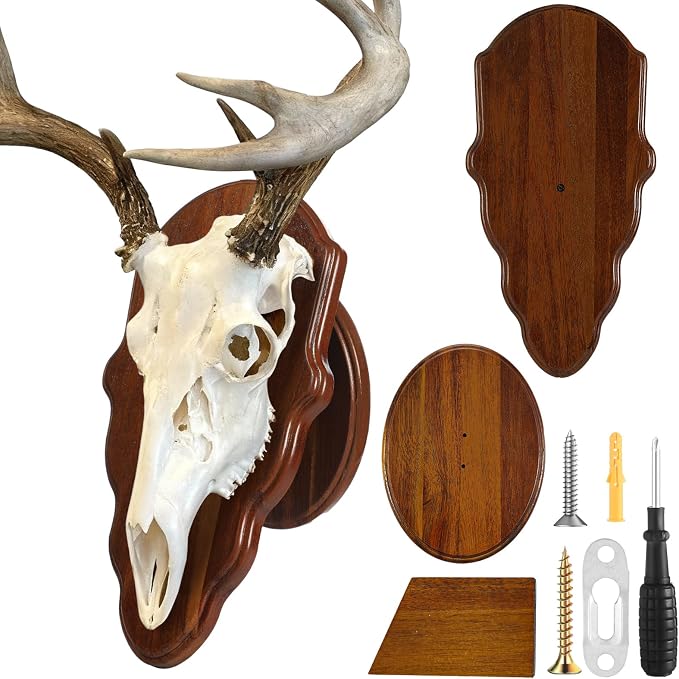 Novabright 1 Pcs Deer Skull Mount Plaques Solid Wood, Black Walnut Color - skull plate