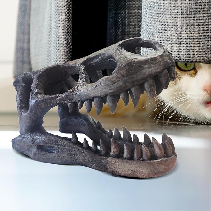 Dinosaur Skull Statue Decor, Resin Realistic Fossil Figurine, 5.9x3.93x3.14 Inches, Home Desktop Cave Decor for Adults - skull figurine