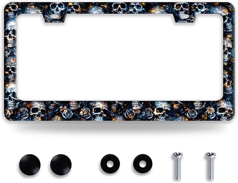 Skull License Plate Frame Stainless Steel Accessory 12.3" x 6.3" - skull plate